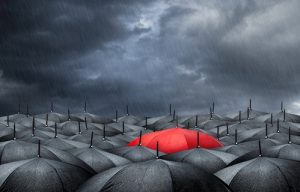 umbrella insurance policy