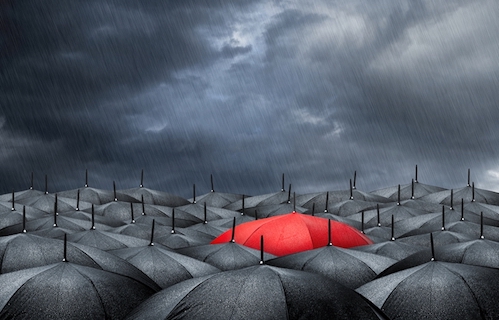 umbrella insurance policy